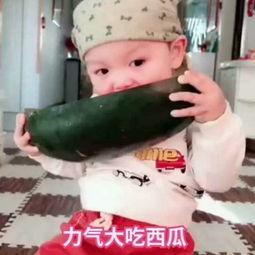 吃瓜的宝贝2,揭秘娱乐圈背后的秘密风暴