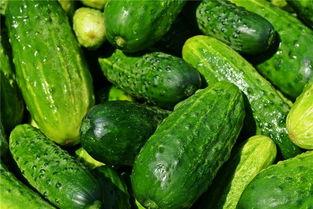 梦见吃棚瓜,揭秘吃棚瓜的神秘寓意