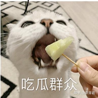 吃瓜评论话术,那些年我们一起热议的娱乐圈风云