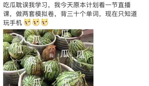 留子pdf吃瓜,吃瓜群众的趣味解读