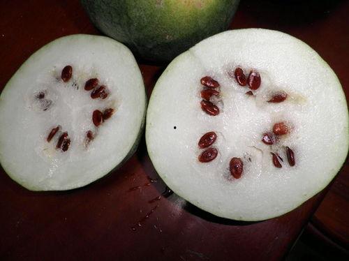 喜籽瓜怎么吃,解锁美味新体验