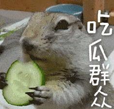 沙雕蜜蜂带你吃瓜