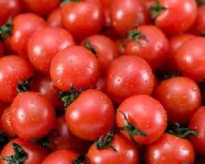 乳瓜能和圣女果一起吃吗,健康美味两不误