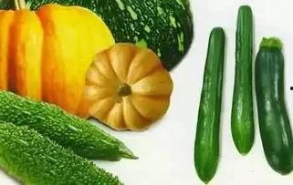 小蛇吃瓜,一场奇妙的味蕾冒险