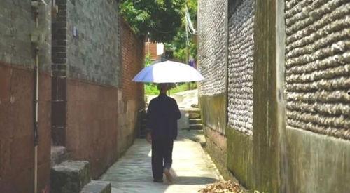 吃瓜群众典型事例,揭秘网络围观背后的众生相