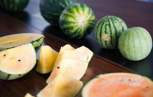 解优大队吃瓜,欢乐与智慧的碰撞