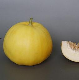 怀孕梦见吃哈密瓜,哈密瓜的甜蜜寓意