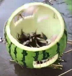 吃瓜小鱼儿,揭秘娱乐圈背后的那些事儿