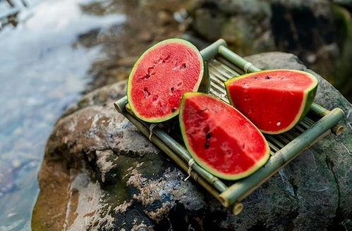 早晚都得吃瓜落儿,早晚必尝的清新滋味