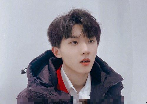 吃瓜群众马嘉祺,吃瓜群众眼中的娱乐圈风云人物