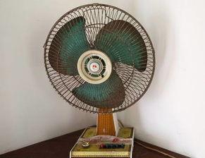 吃瓜被电扇惹怒,怒火中烧引发热议