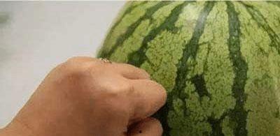 学会如何吃瓜,学会轻松享受生活的小技巧