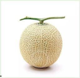 吃瓜群众头像系列,趣味横生的网络表情盛宴