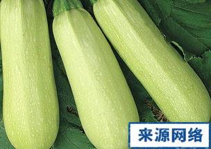 孕期可以吃白瓜吗,孕期适量食用白瓜有益健康