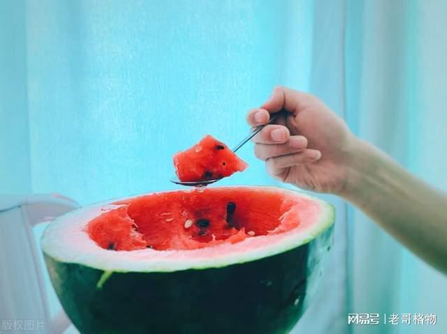 八卦吃瓜介绍,揭秘娱乐圈幕后故事与热点事件