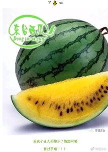 吃瓜开团,揭秘娱乐圈背后的故事与真相