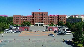 城建学院沈阳吃瓜,一场校园“吃瓜”盛事背后的校园生活剪影