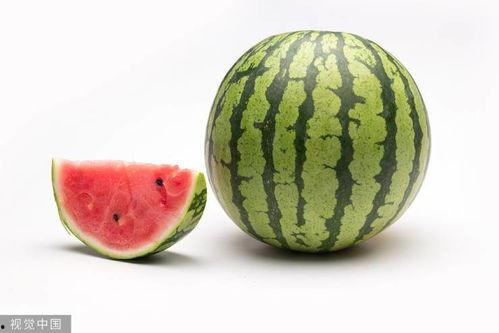 吃瓜大西瓜的视频,揭秘吃瓜大西瓜的爆红之路