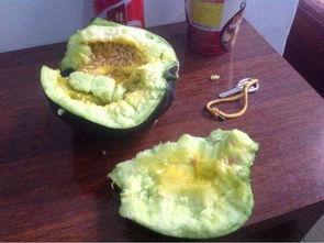 吃瓜把自己吃噎了,意外“噎”出教训