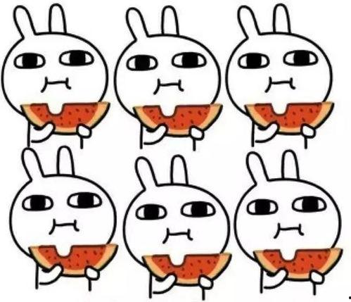 呆萌人吃瓜,趣味横生的日常趣事集锦