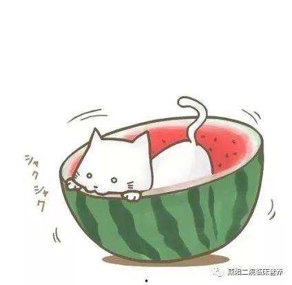 小熊不哭吃瓜头像动漫